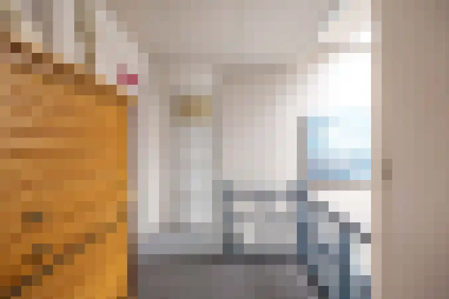 Hoofdstraat 6 Mensingeweer thumbnail 46