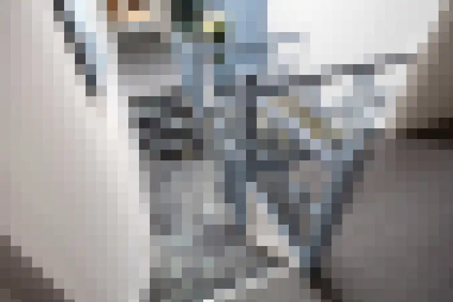Hoofdstraat 6 Mensingeweer thumbnail 48
