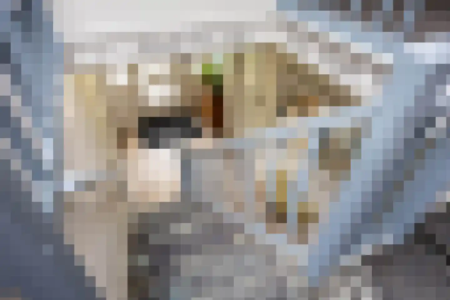 Hoofdstraat 6 Mensingeweer thumbnail 49