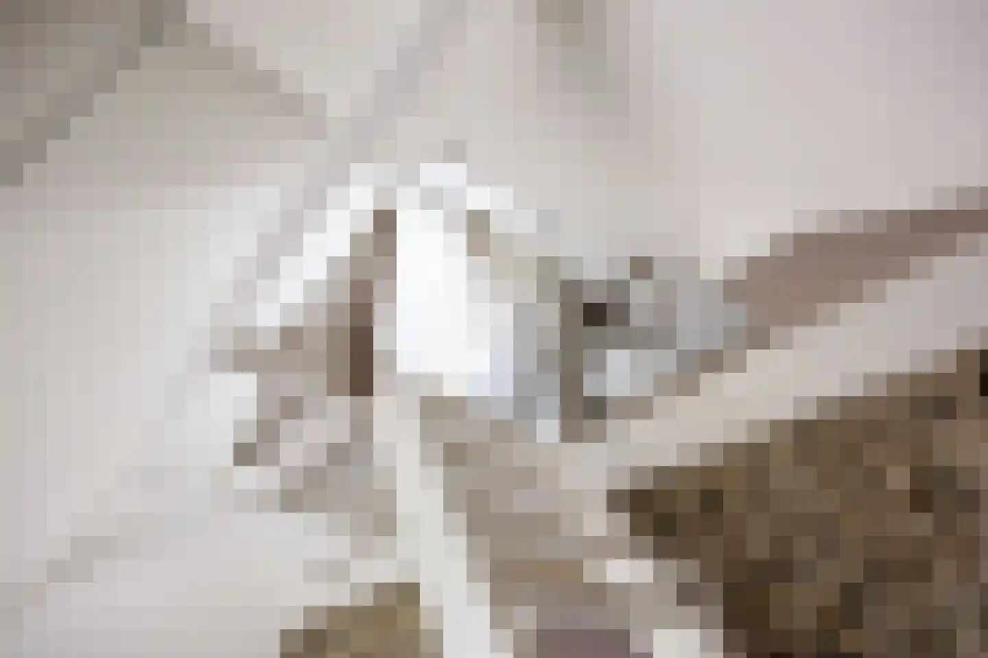 Hoofdstraat 6 Mensingeweer thumbnail 54