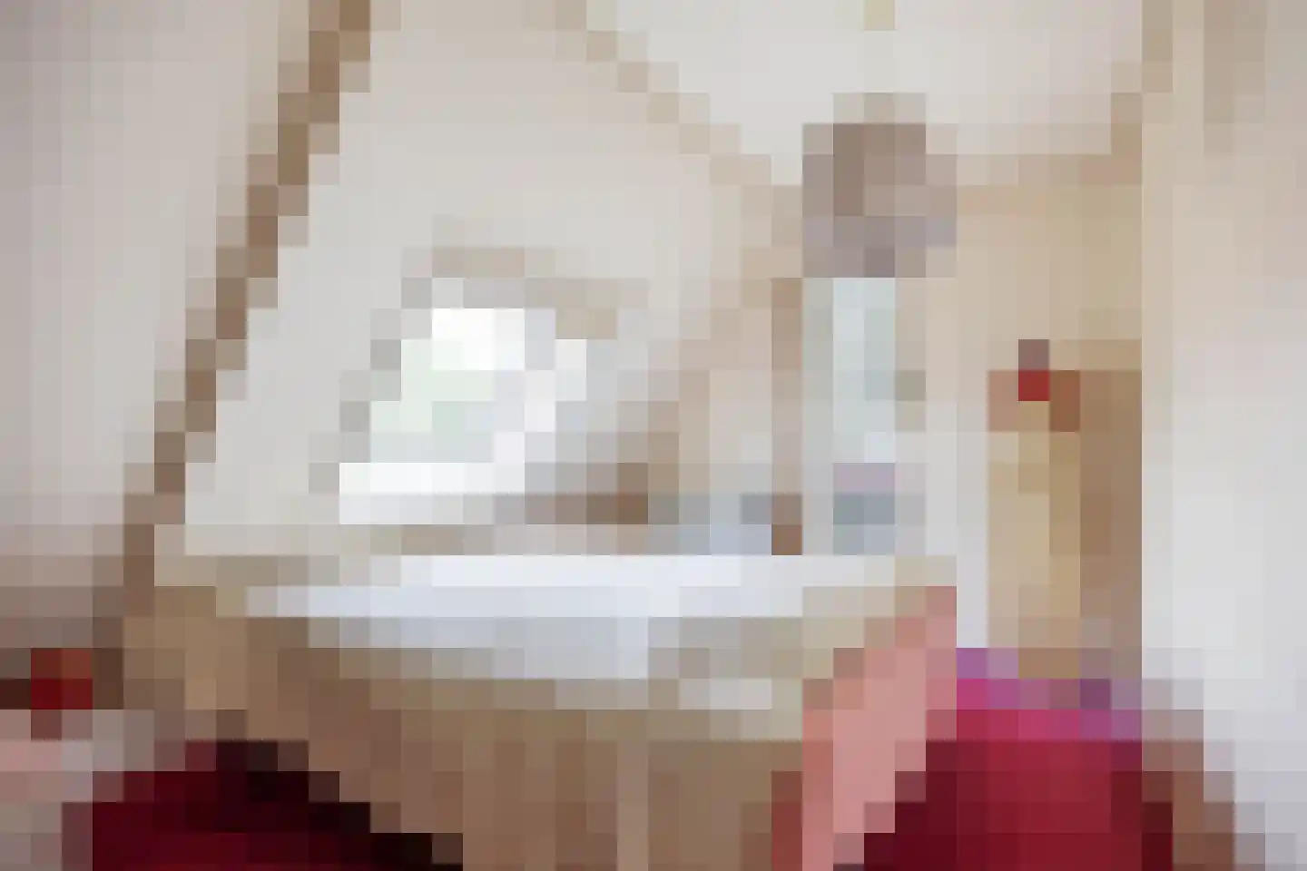 Hoofdstraat 6 Mensingeweer thumbnail 58