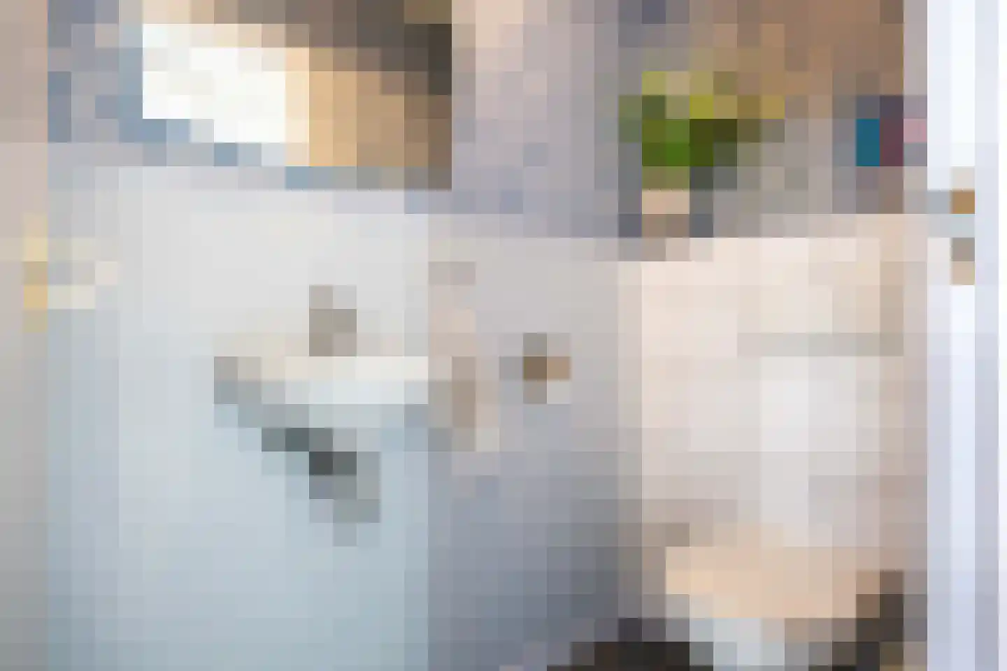 Hoofdstraat 6 Mensingeweer thumbnail 69