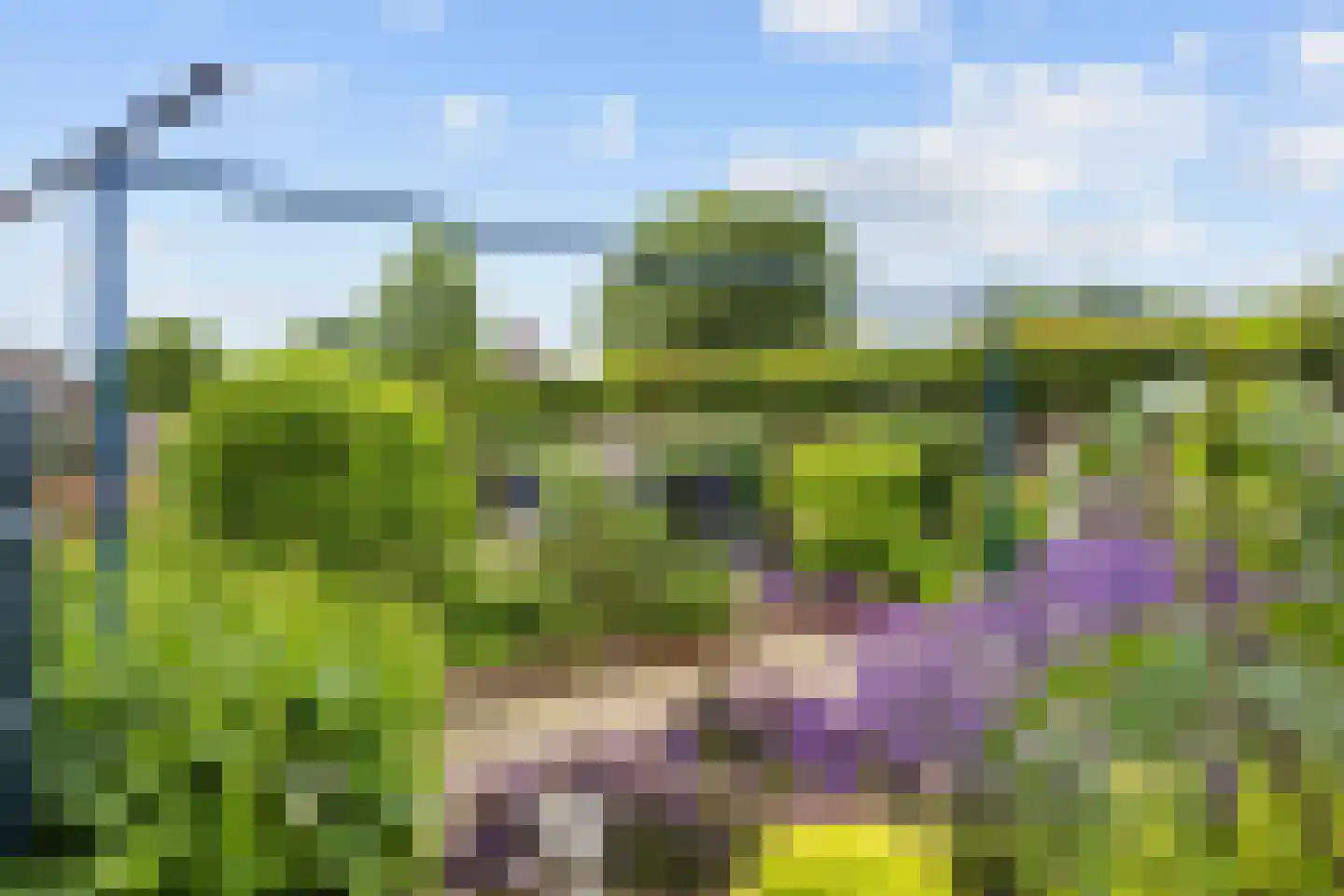 Hoofdstraat 6 Mensingeweer thumbnail 86