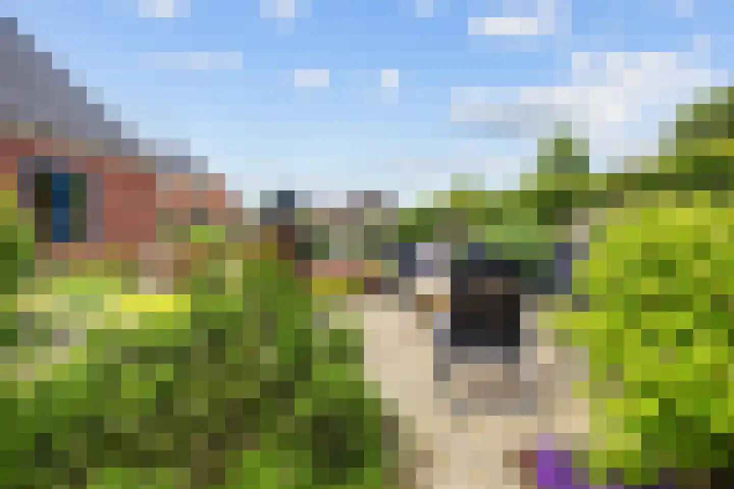 Hoofdstraat 6 Mensingeweer thumbnail 90