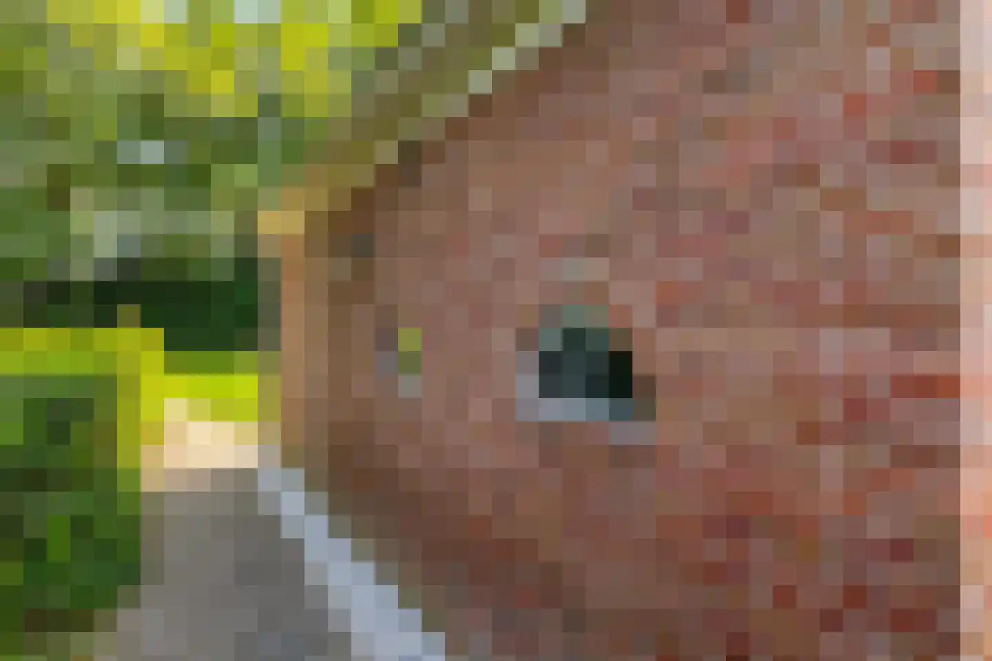 Hoofdstraat 6 't Zandt thumbnail 12