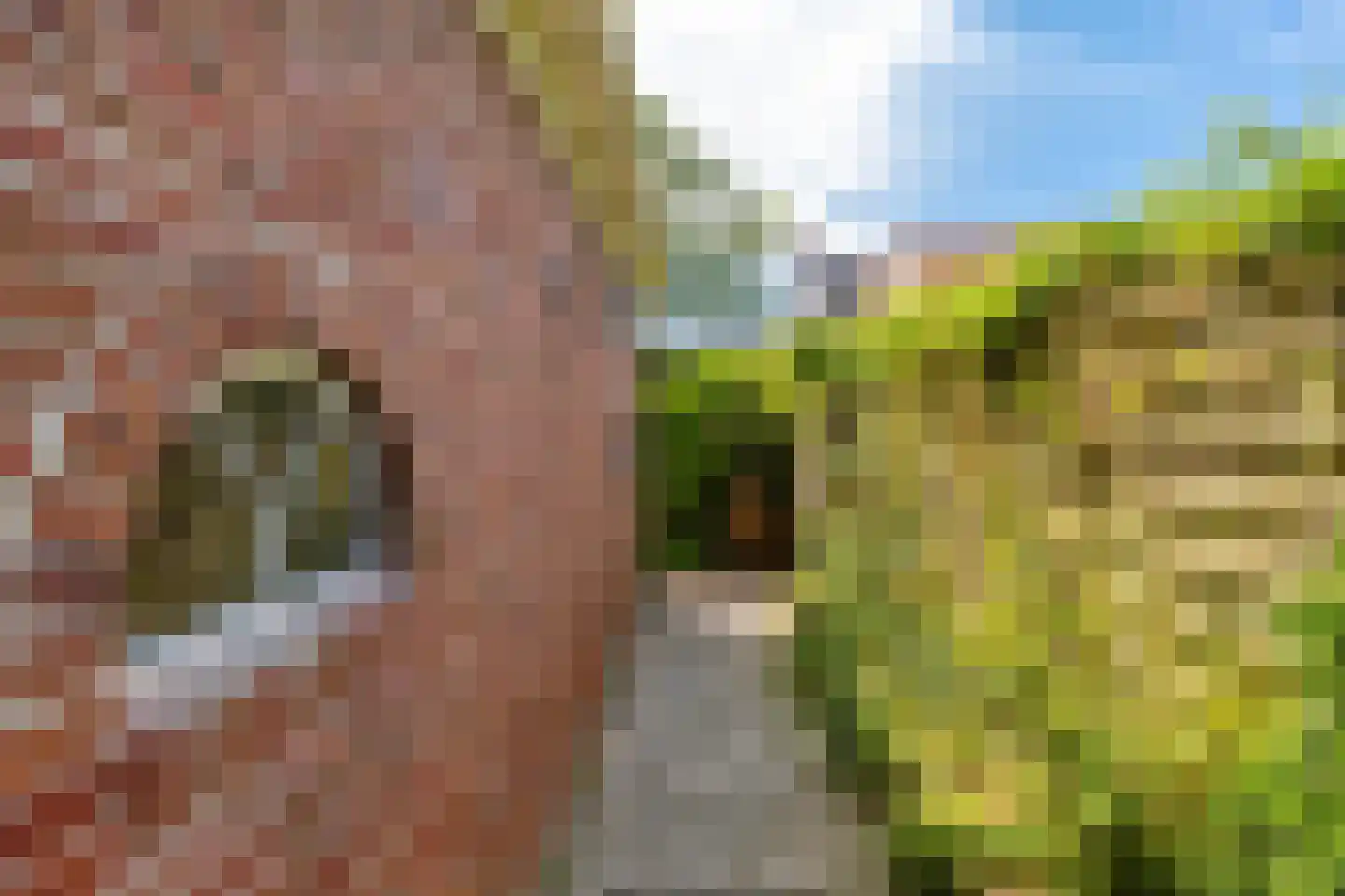 Hoofdstraat 6 't Zandt thumbnail 13