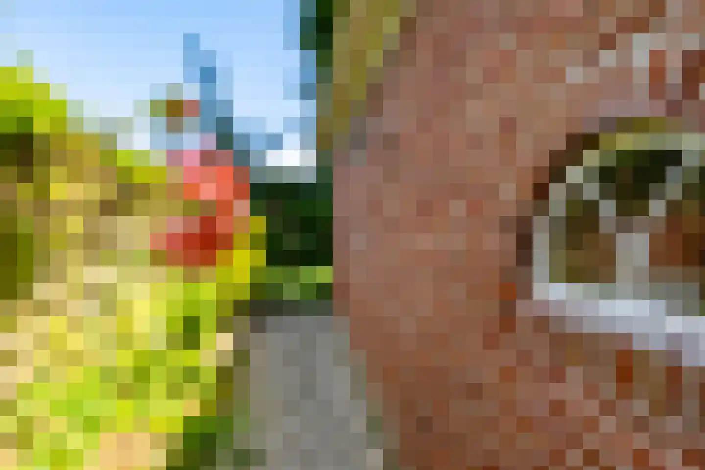 Hoofdstraat 6 't Zandt thumbnail 14
