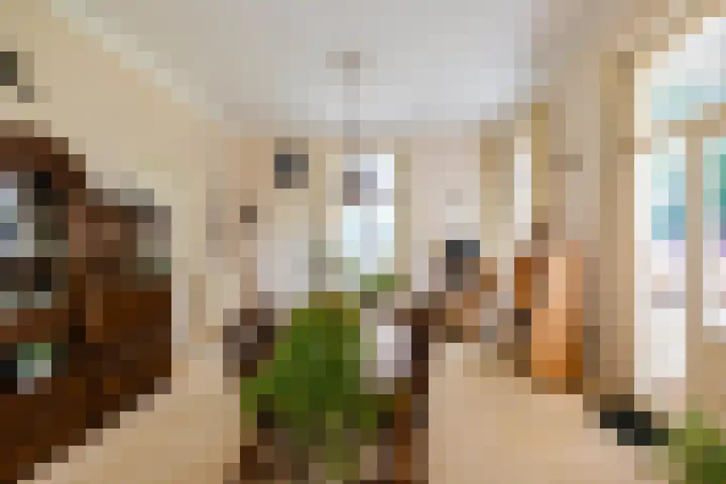 Hoofdstraat 6 't Zandt thumbnail 22