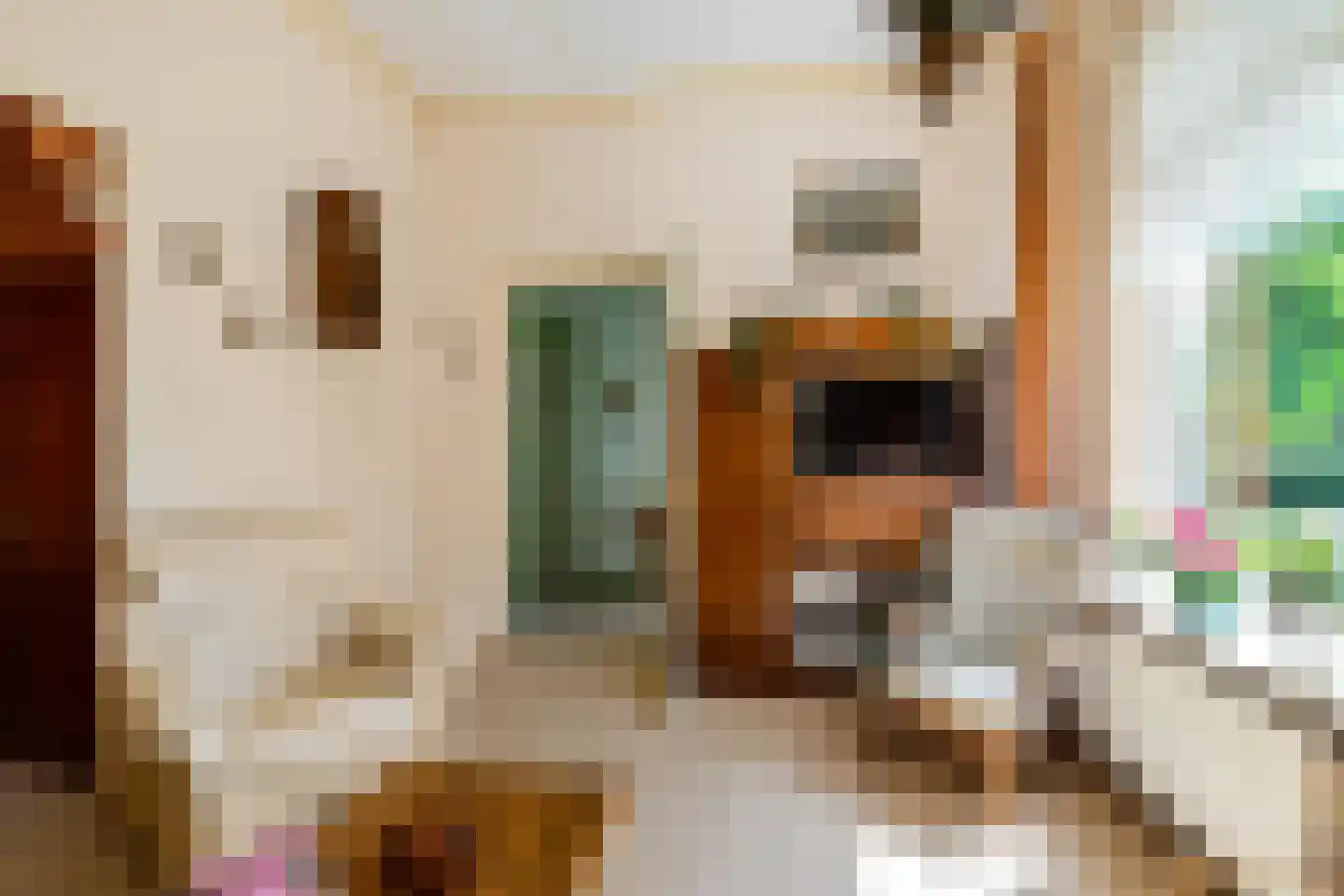 Hoofdstraat 6 't Zandt thumbnail 31