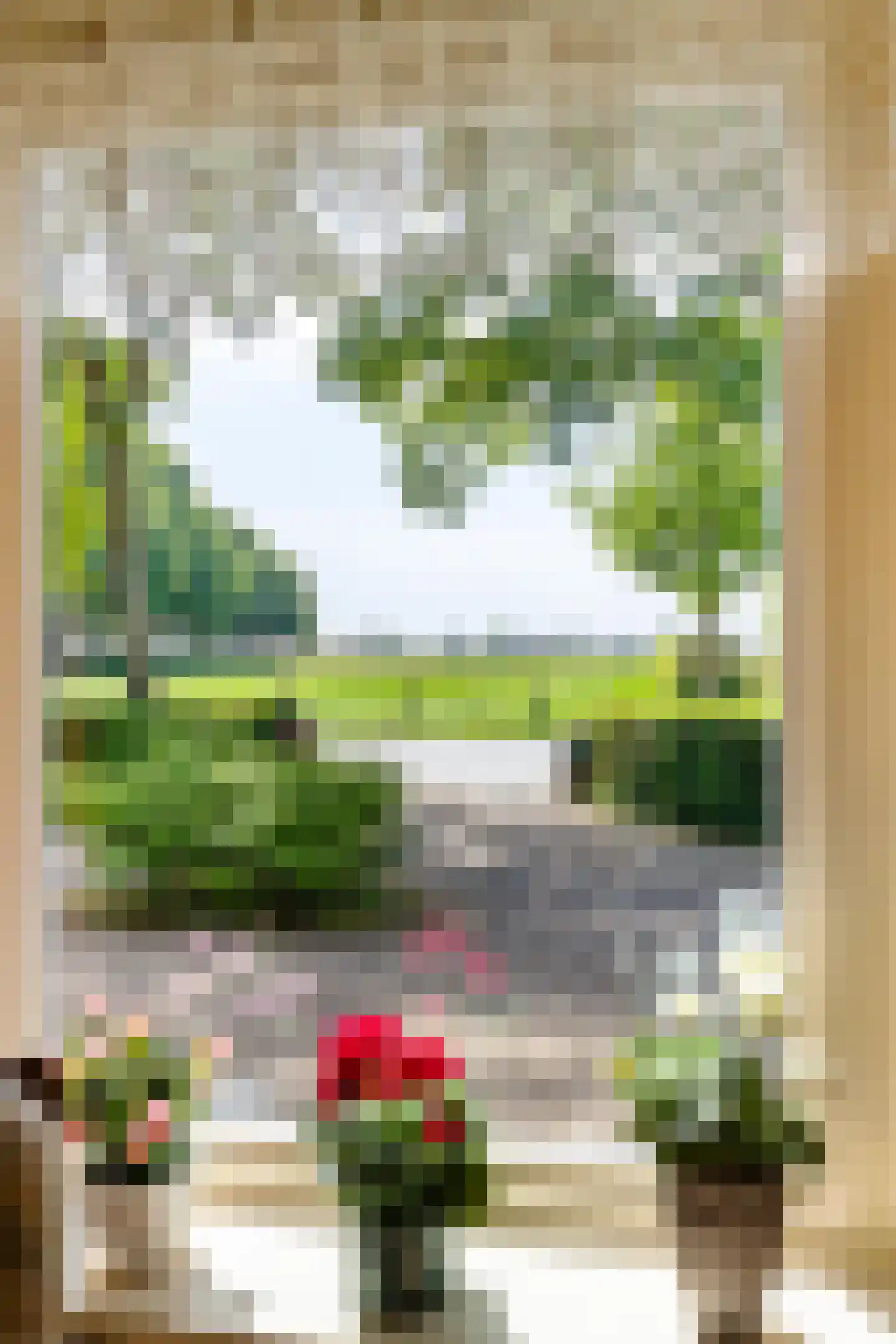 Hoofdstraat 6 't Zandt thumbnail 33
