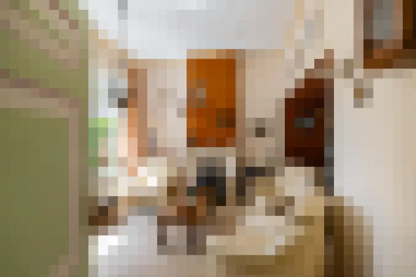 Hoofdstraat 6 't Zandt thumbnail 34
