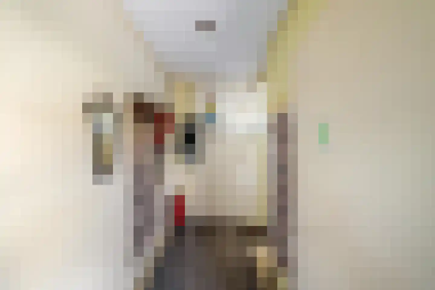 Hoofdstraat 6 't Zandt thumbnail 36