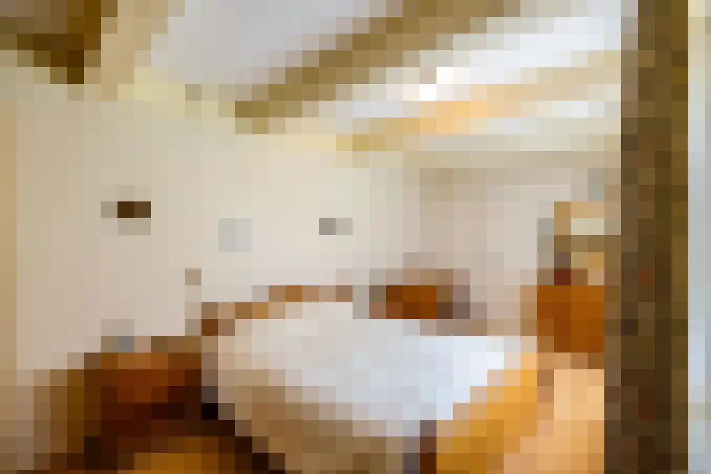 Hoofdstraat 6 't Zandt thumbnail 39