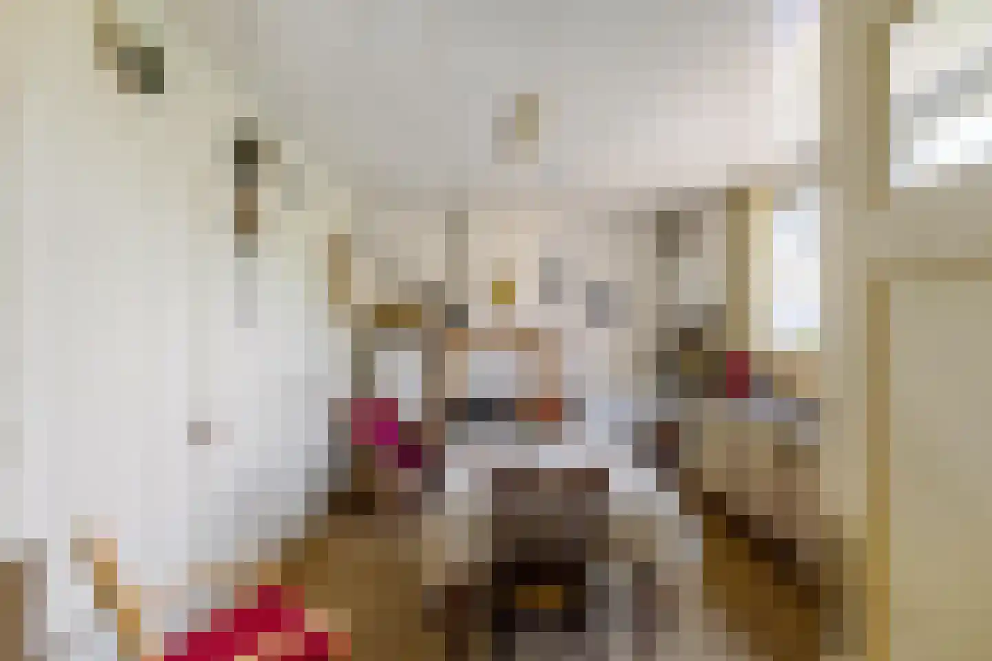 Hoofdstraat 6 't Zandt thumbnail 44