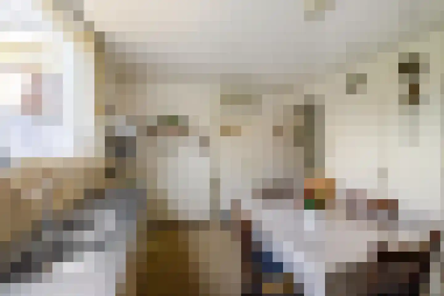 Hoofdstraat 6 't Zandt thumbnail 46