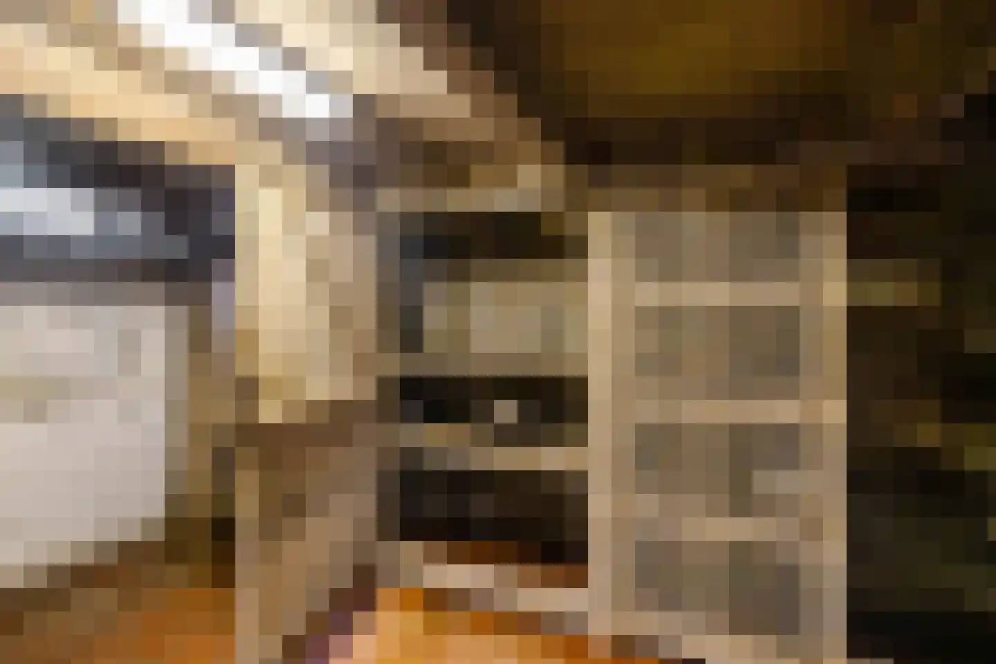 Hoofdstraat 6 't Zandt thumbnail 48
