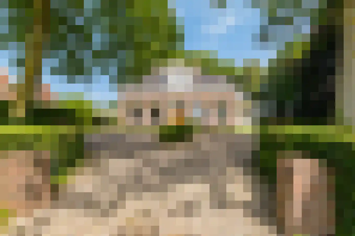 Hoofdstraat 6 't Zandt thumbnail 5