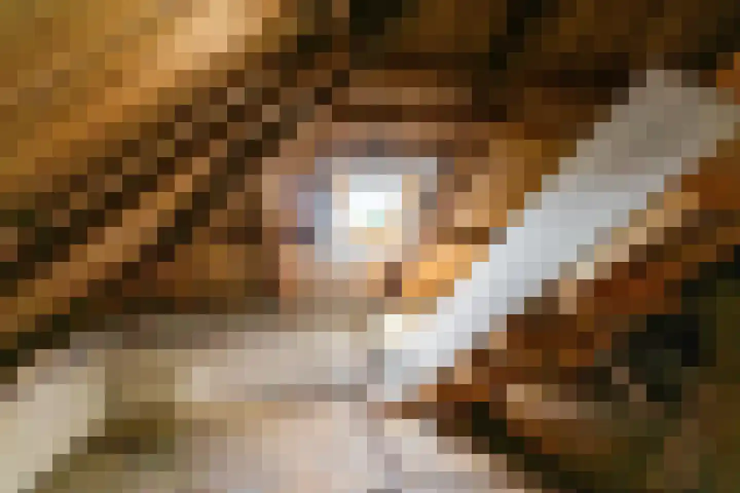 Hoofdstraat 6 't Zandt thumbnail 56