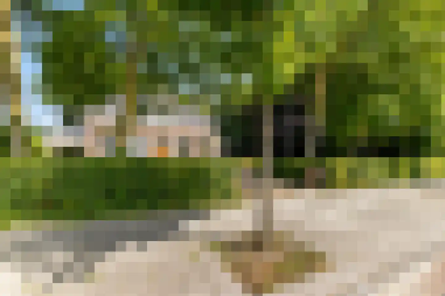 Hoofdstraat 6 't Zandt thumbnail 62