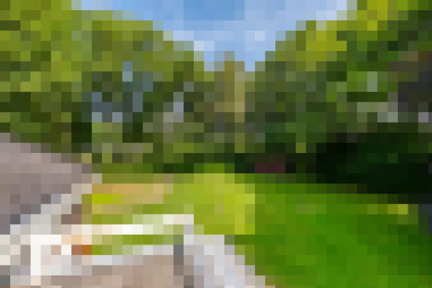Hoofdstraat 6 't Zandt thumbnail 63