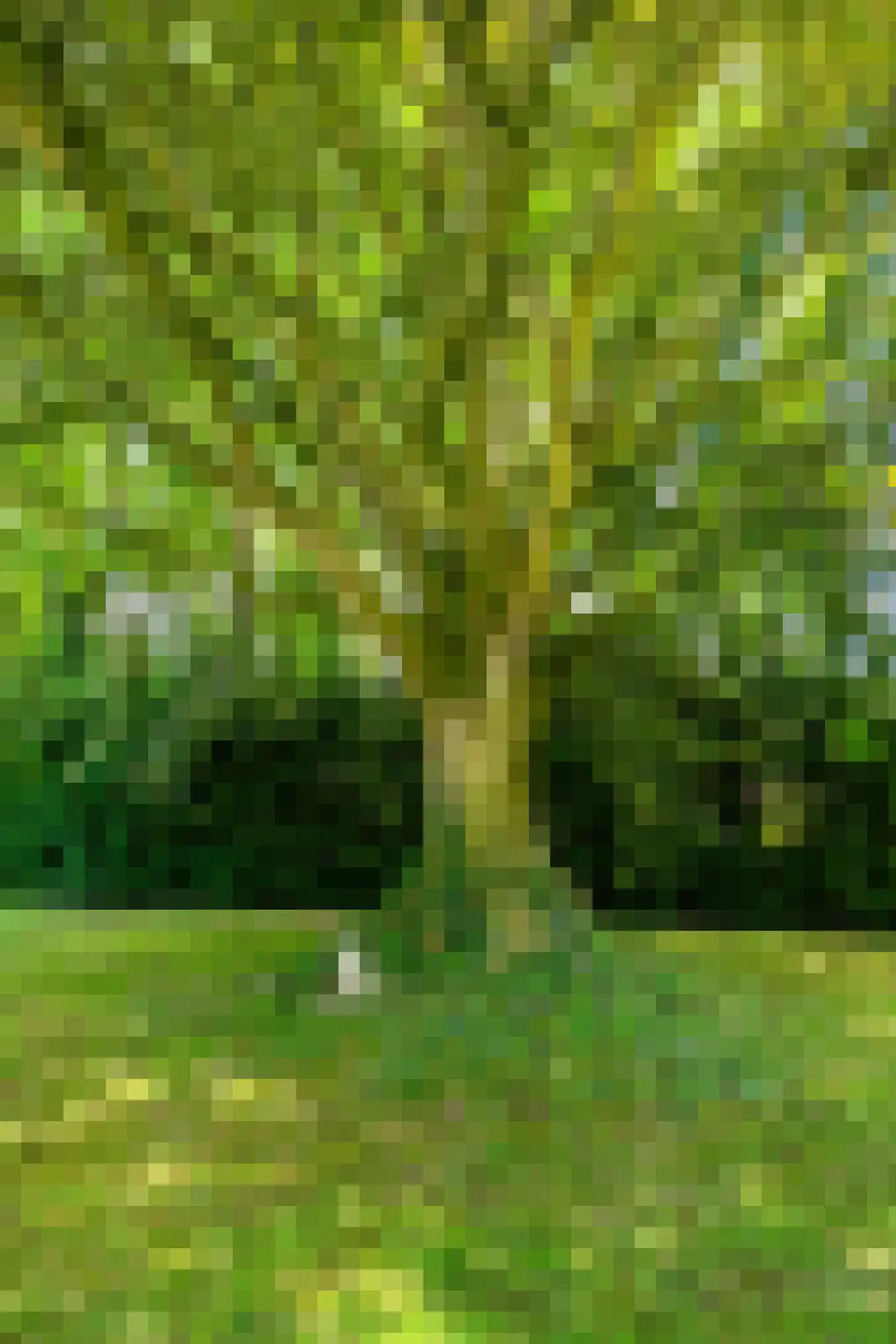 Hoofdstraat 6 't Zandt thumbnail 64