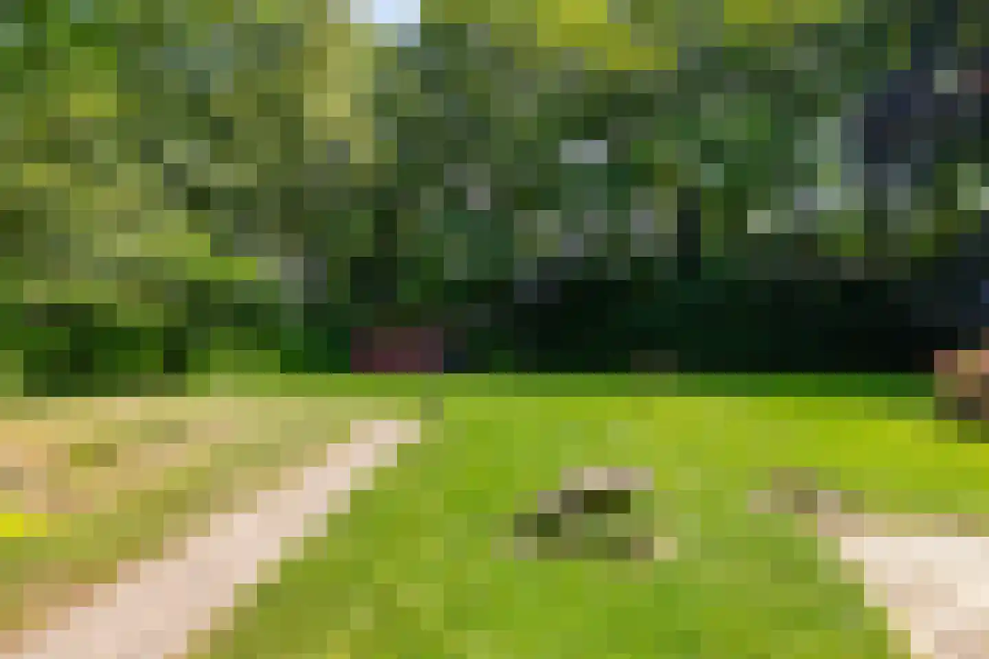 Hoofdstraat 6 't Zandt thumbnail 65