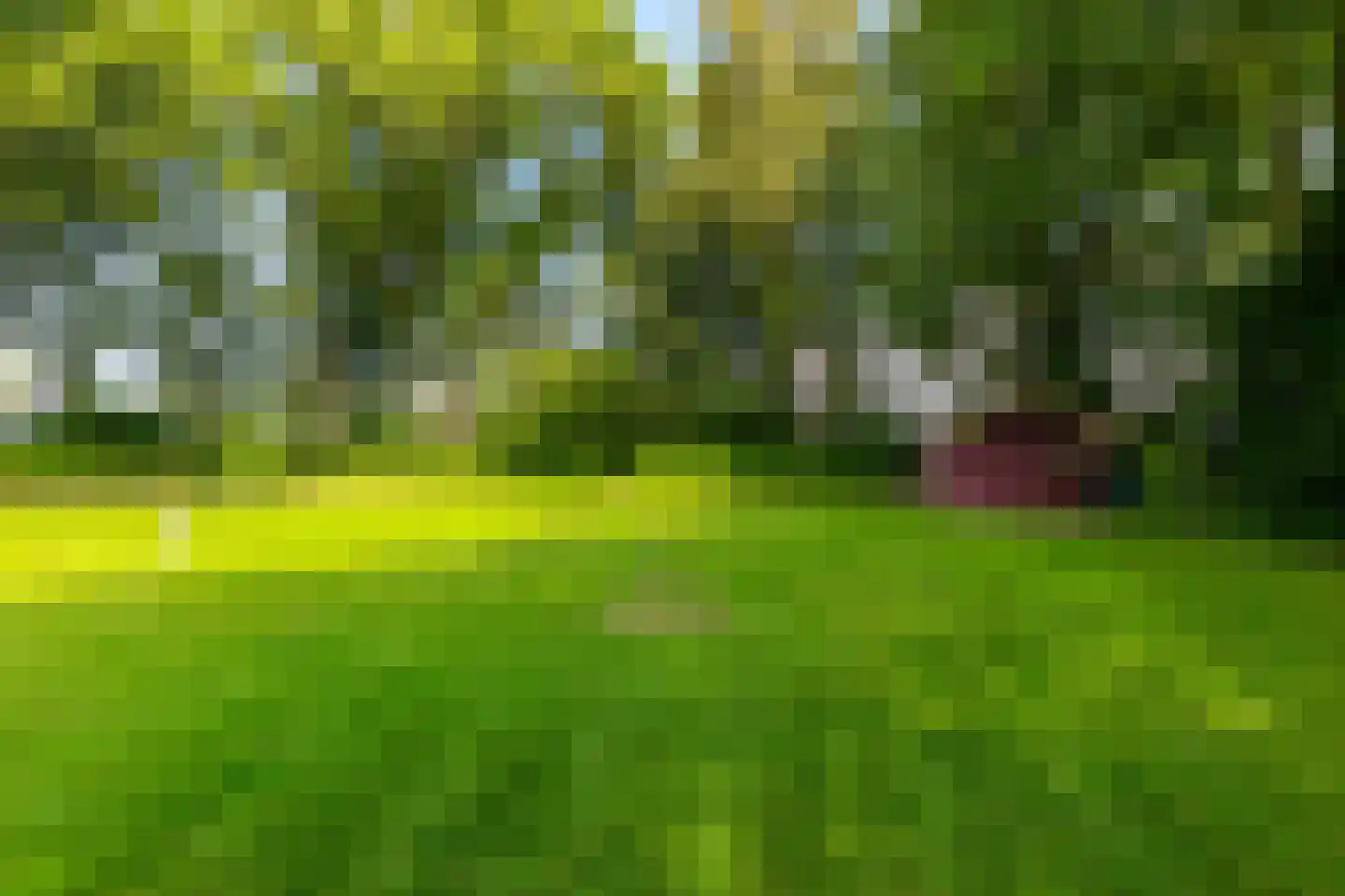 Hoofdstraat 6 't Zandt thumbnail 66