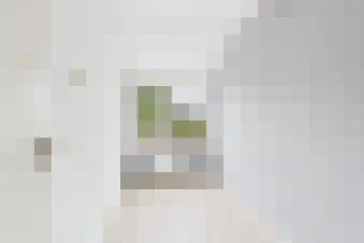 Hoofdstraat 6 Terneuzen thumbnail 23