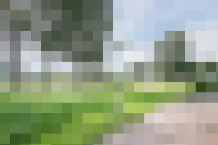 Hoofdstraat 6 Terneuzen thumbnail 32