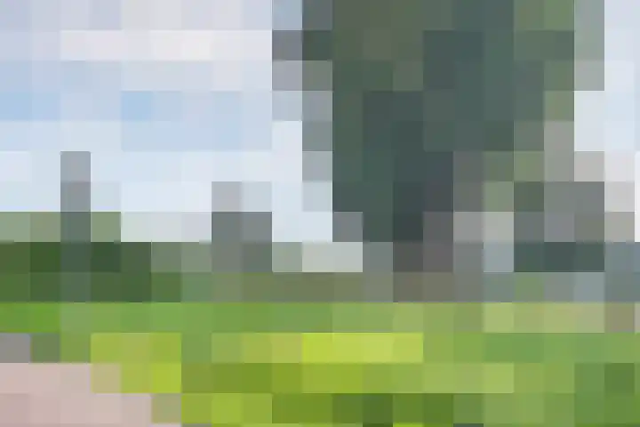 Hoofdstraat 6 Terneuzen thumbnail 33