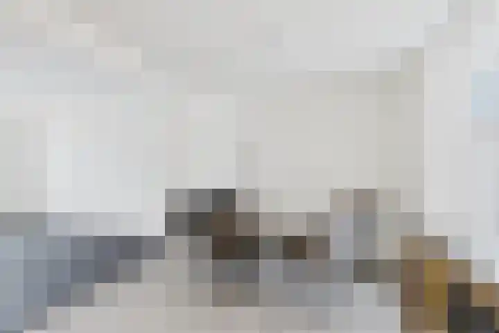 Hoofdstraat 6 Terneuzen thumbnail 6