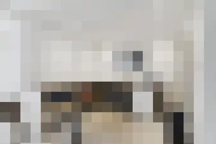 Hoofdstraat 6 Terneuzen thumbnail 7