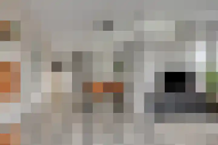 Hoofdstraat 60 b Hoogezand thumbnail 4