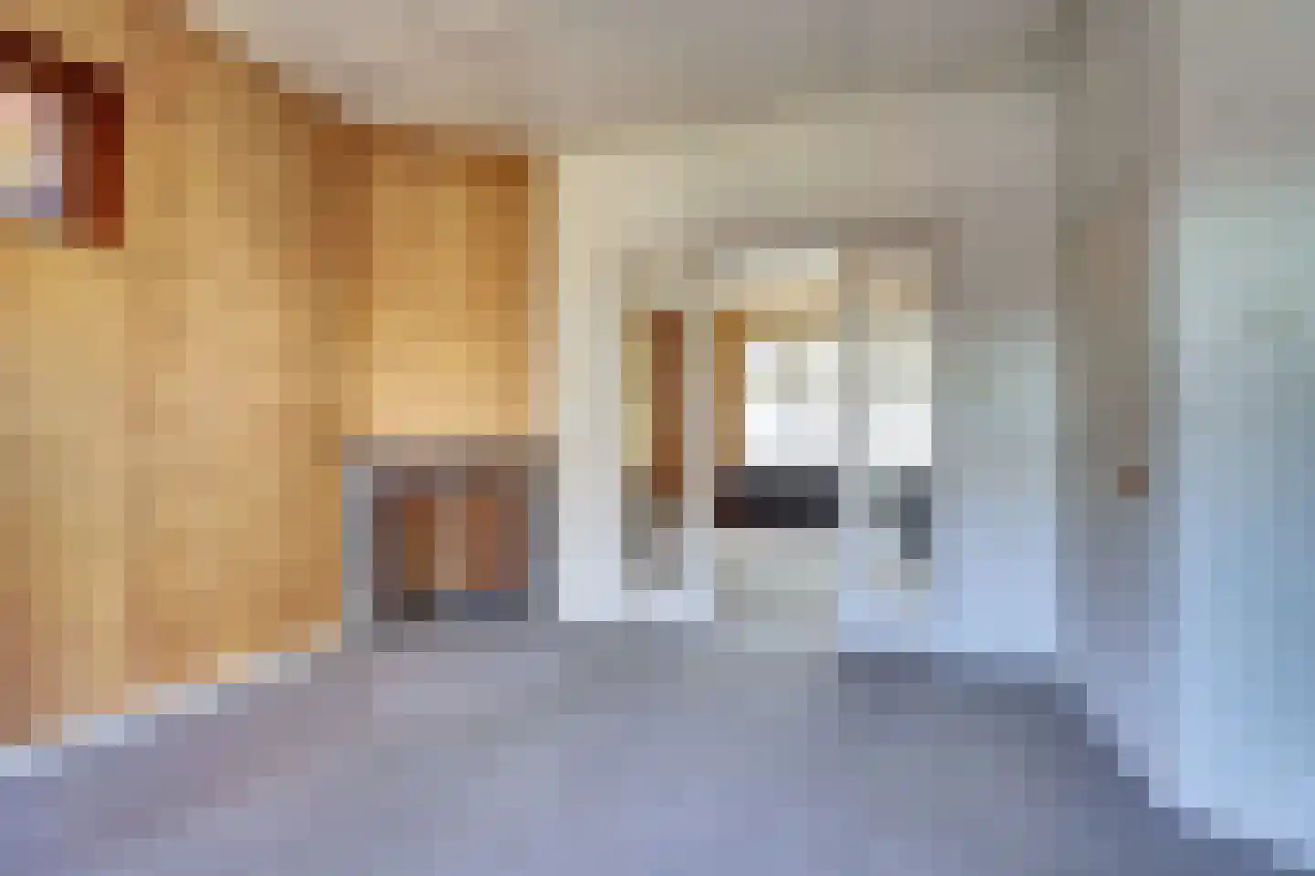 Hoofdstraat 60 Koudum thumbnail 10