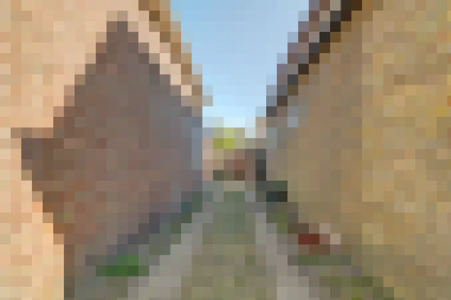 Hoofdstraat 60 Koudum thumbnail 28