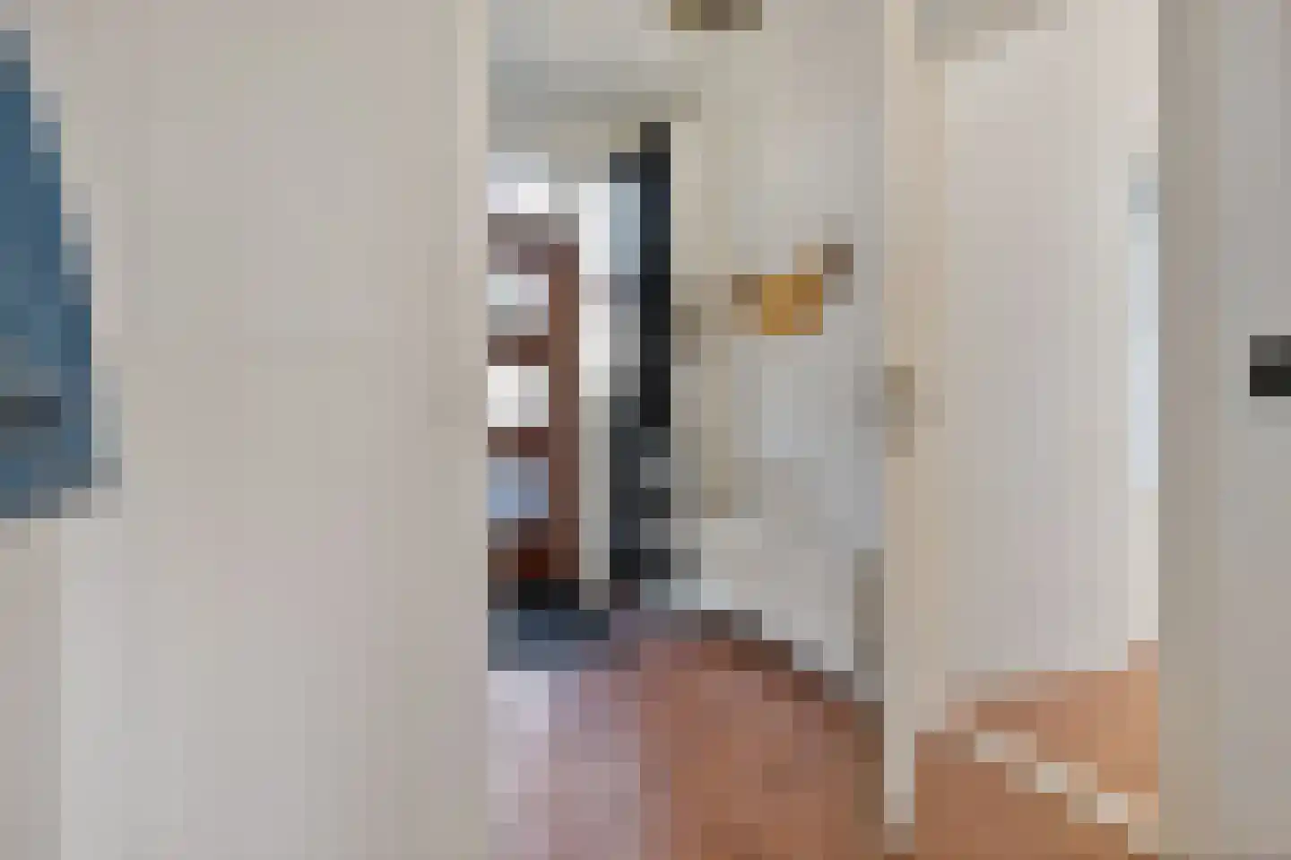 Hoofdstraat 60 Meedhuizen thumbnail 17