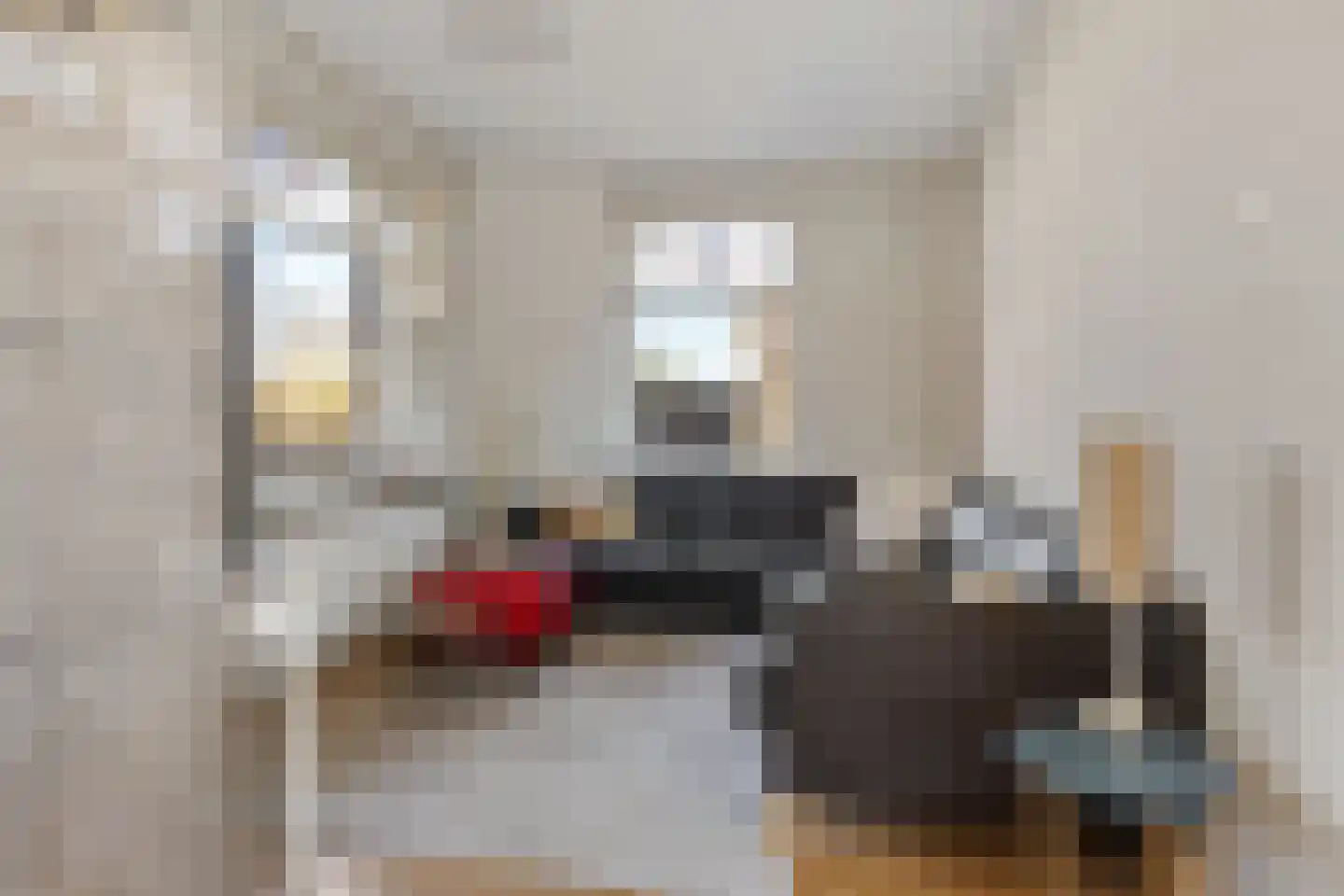 Hoofdstraat 60 Meedhuizen thumbnail 20