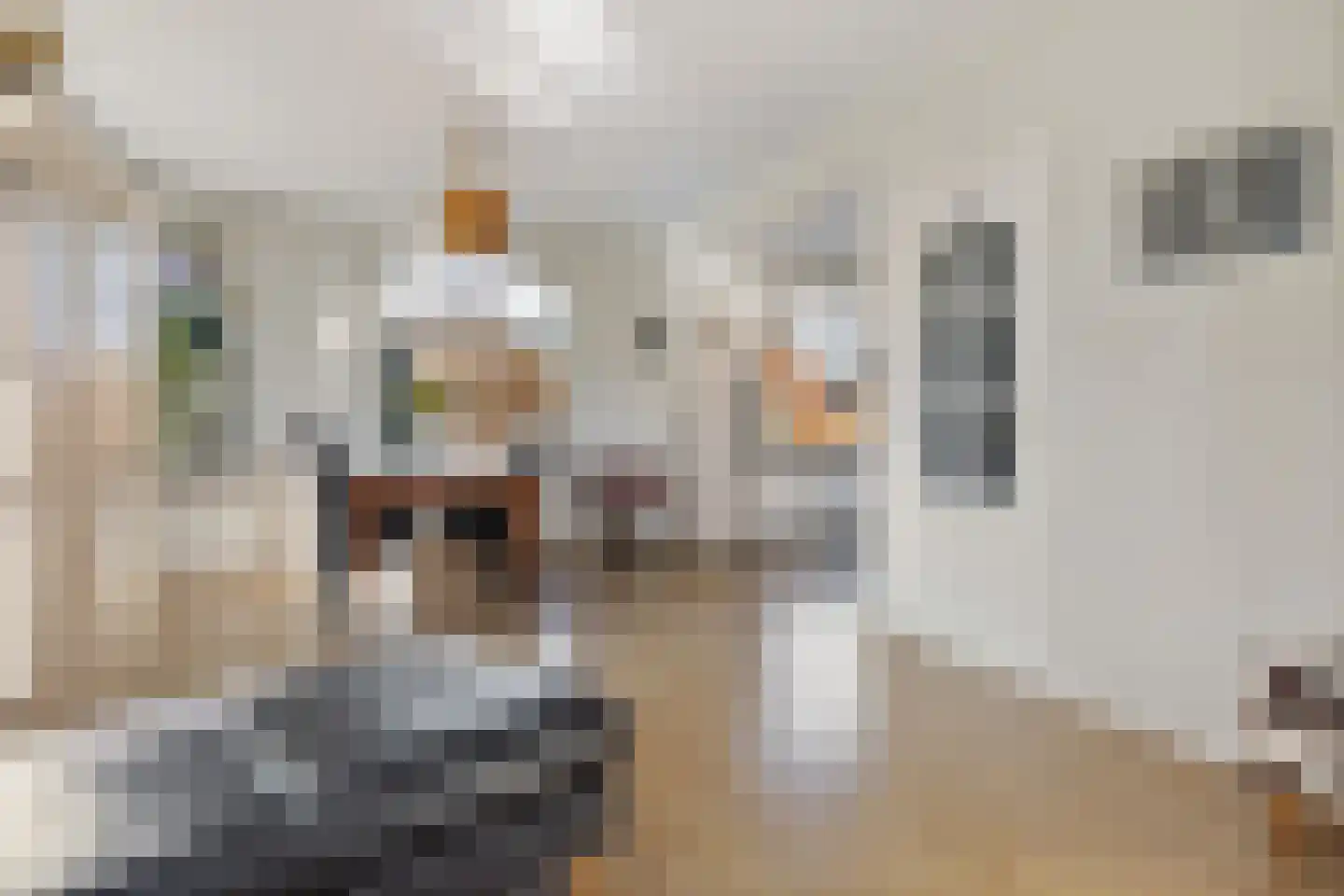 Hoofdstraat 60 Meedhuizen thumbnail 23