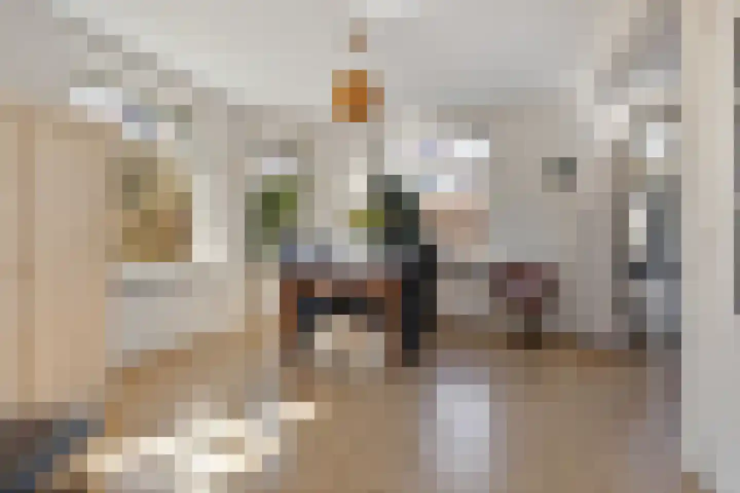 Hoofdstraat 60 Meedhuizen thumbnail 24