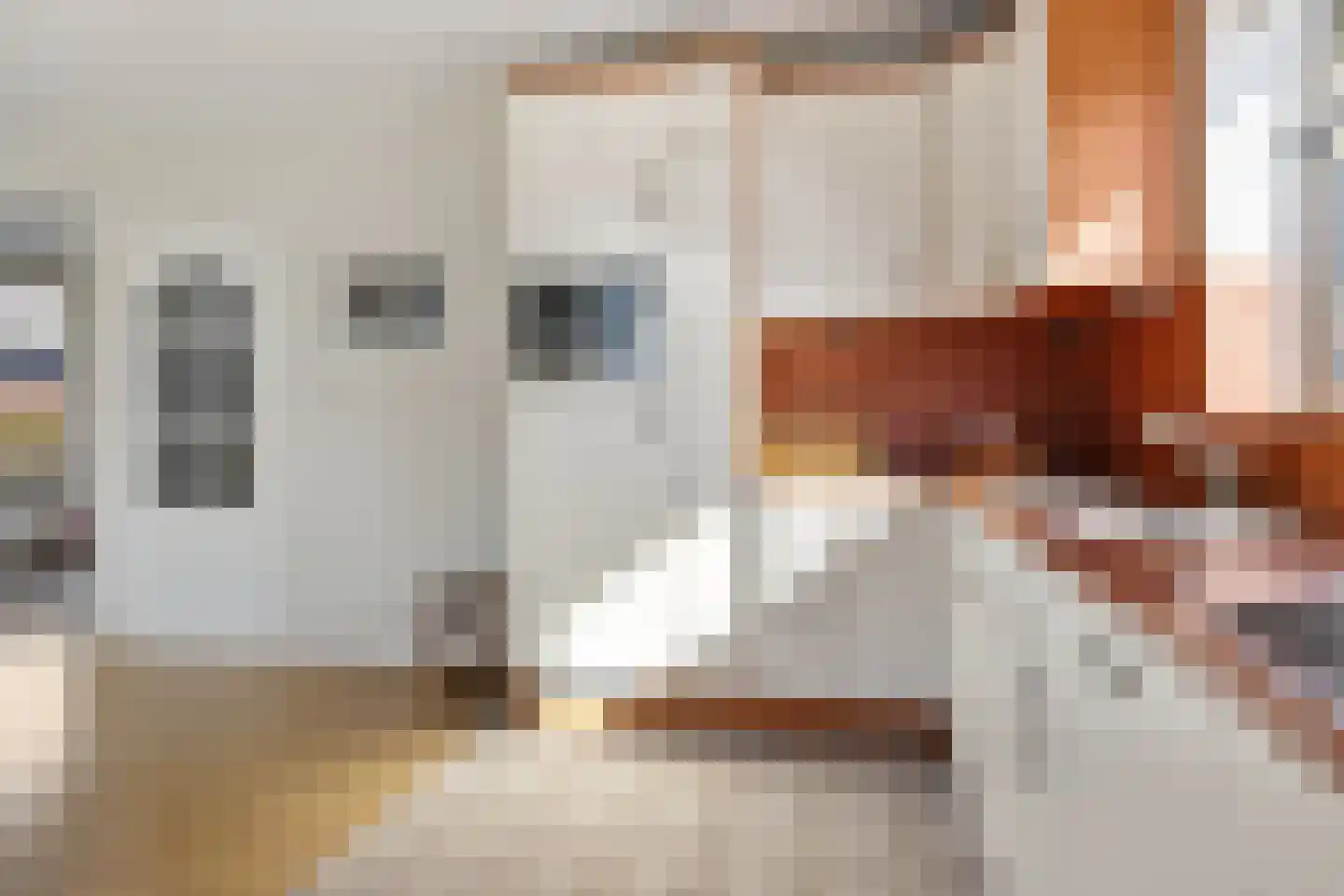 Hoofdstraat 60 Meedhuizen thumbnail 28