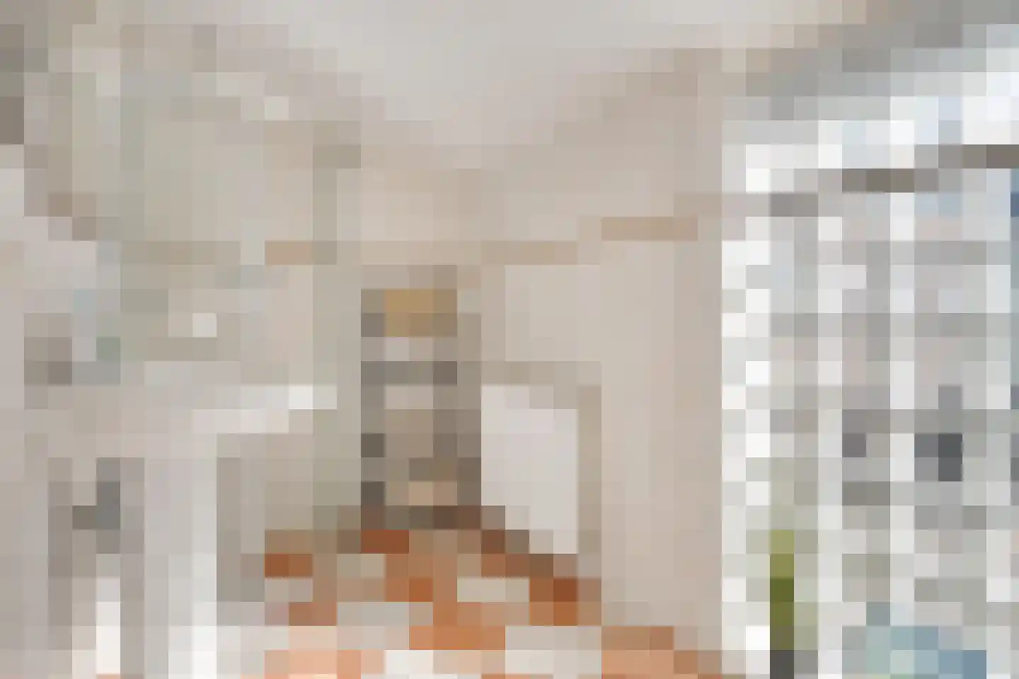 Hoofdstraat 60 Meedhuizen thumbnail 33