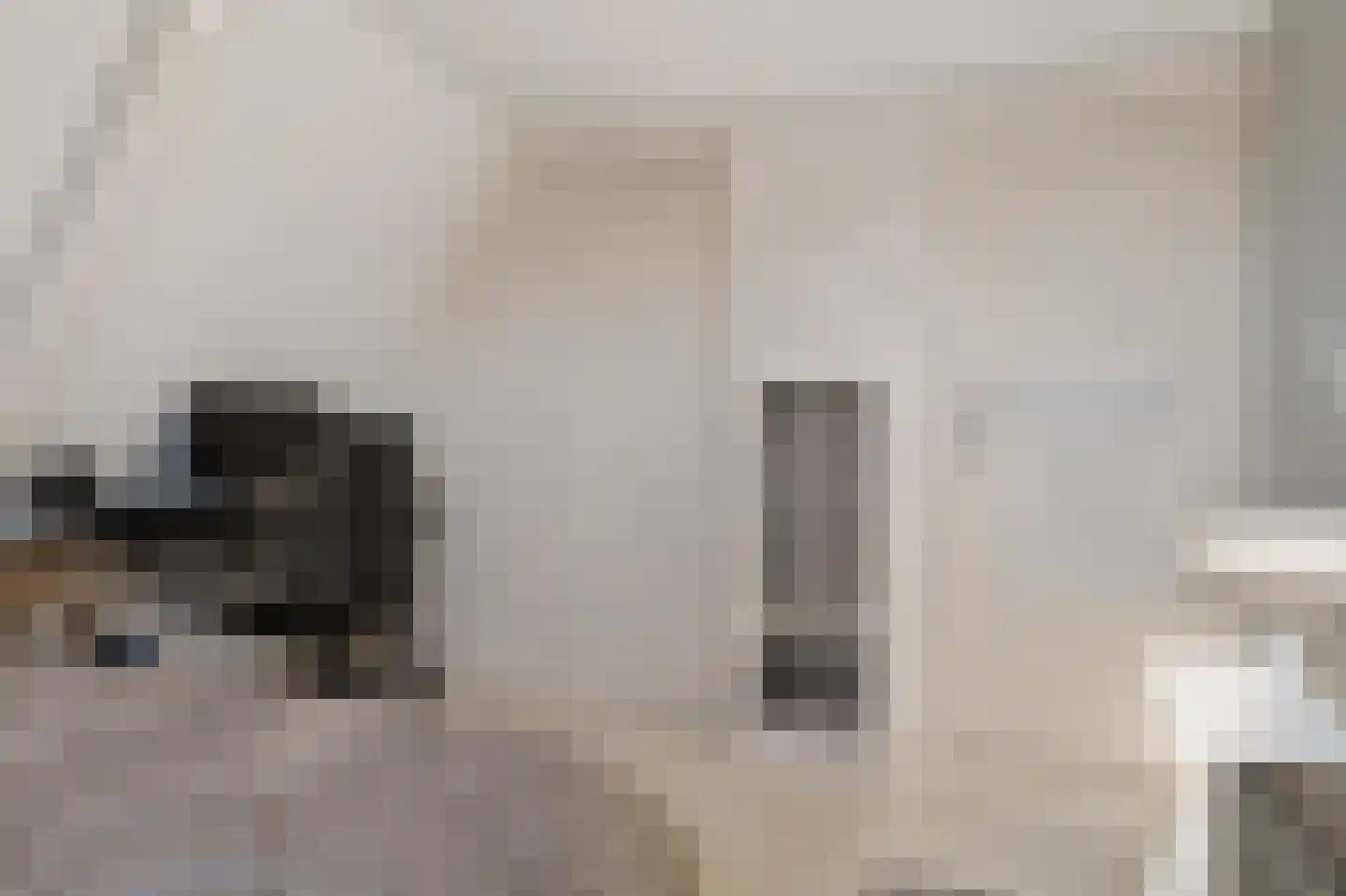 Hoofdstraat 60 Meedhuizen thumbnail 41