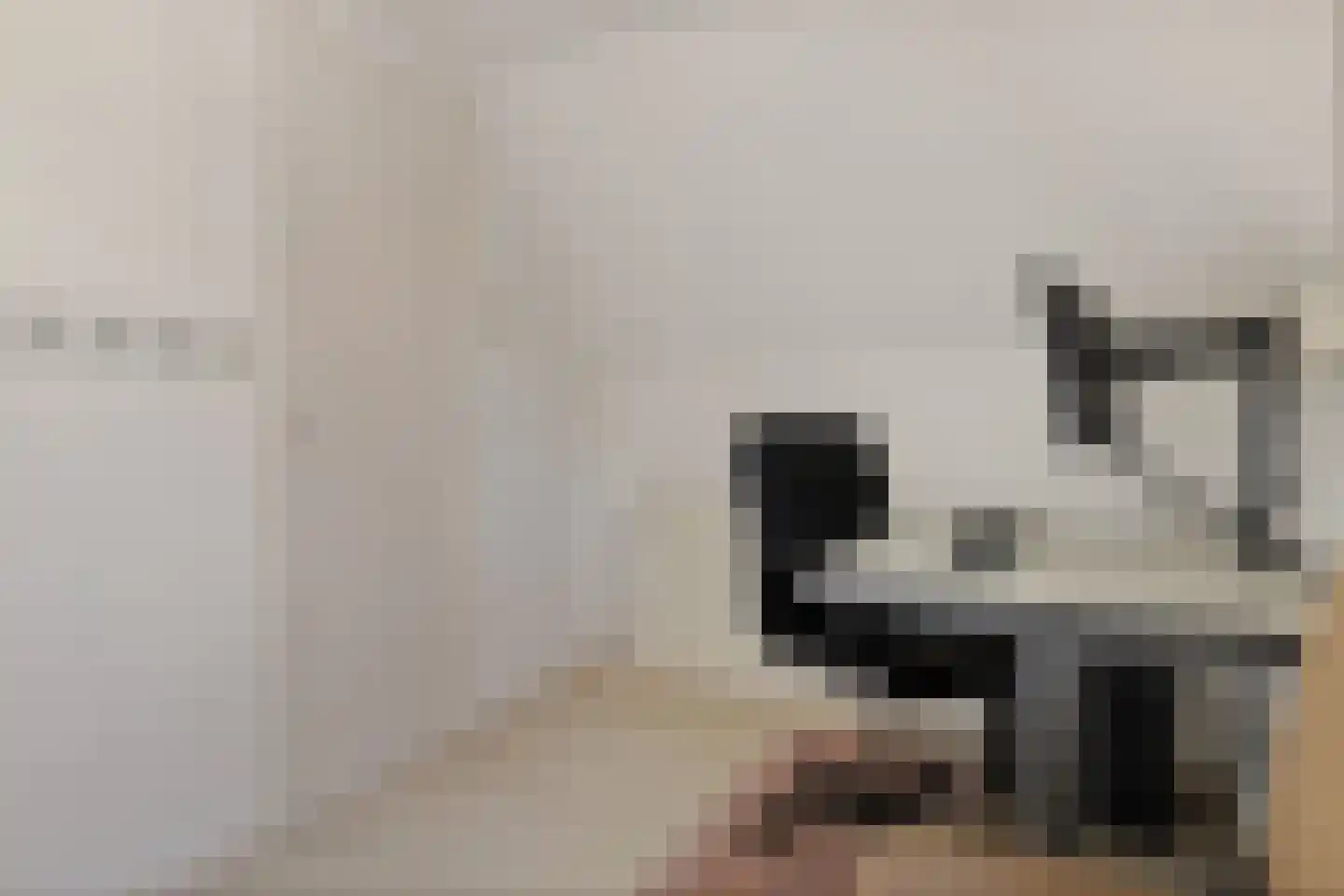 Hoofdstraat 60 Meedhuizen thumbnail 43