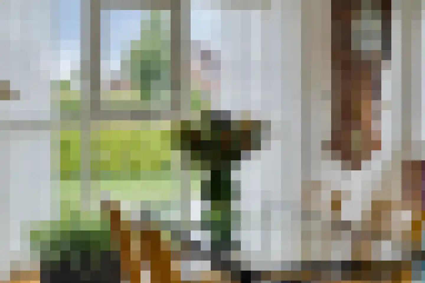 Hoofdstraat 61 't Zandt thumbnail 14