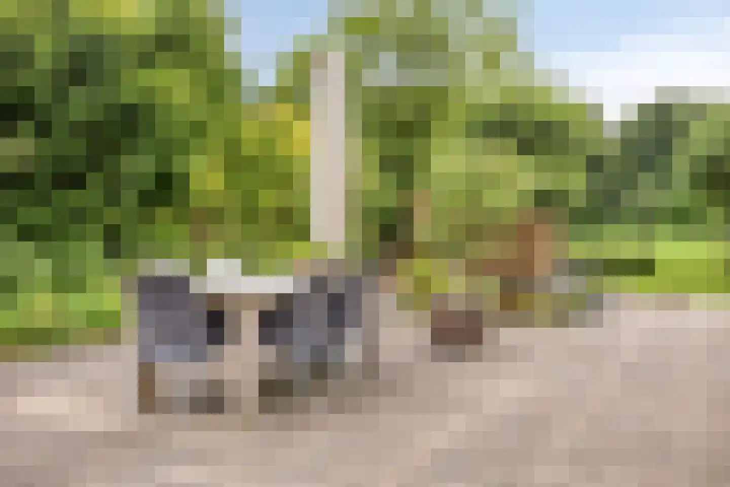 Hoofdstraat 61 't Zandt thumbnail 43
