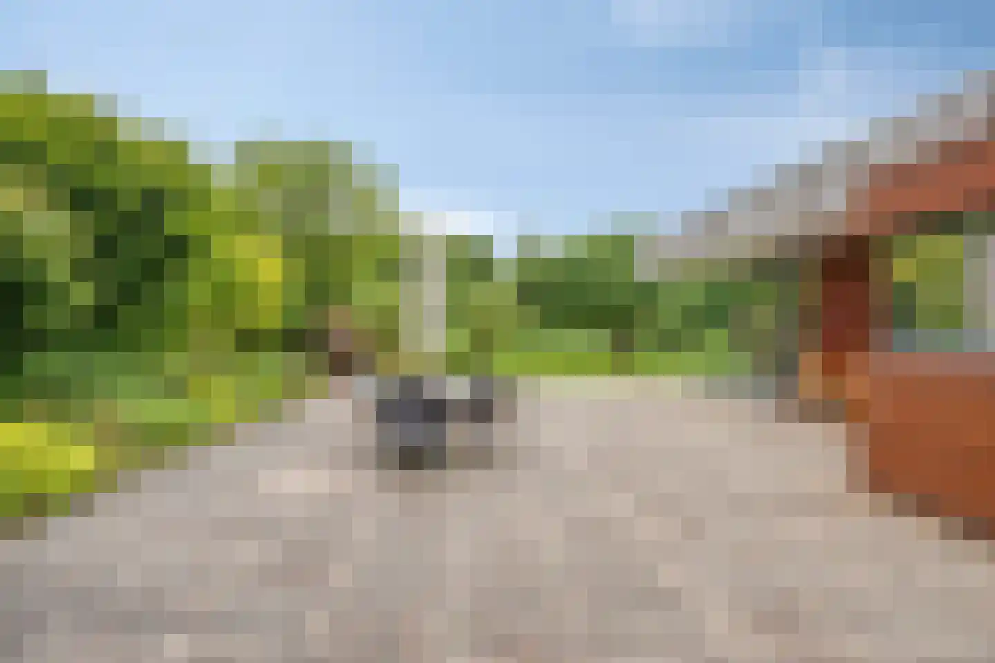Hoofdstraat 61 't Zandt thumbnail 48