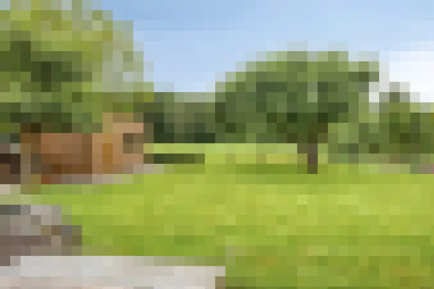 Hoofdstraat 61 't Zandt thumbnail 49