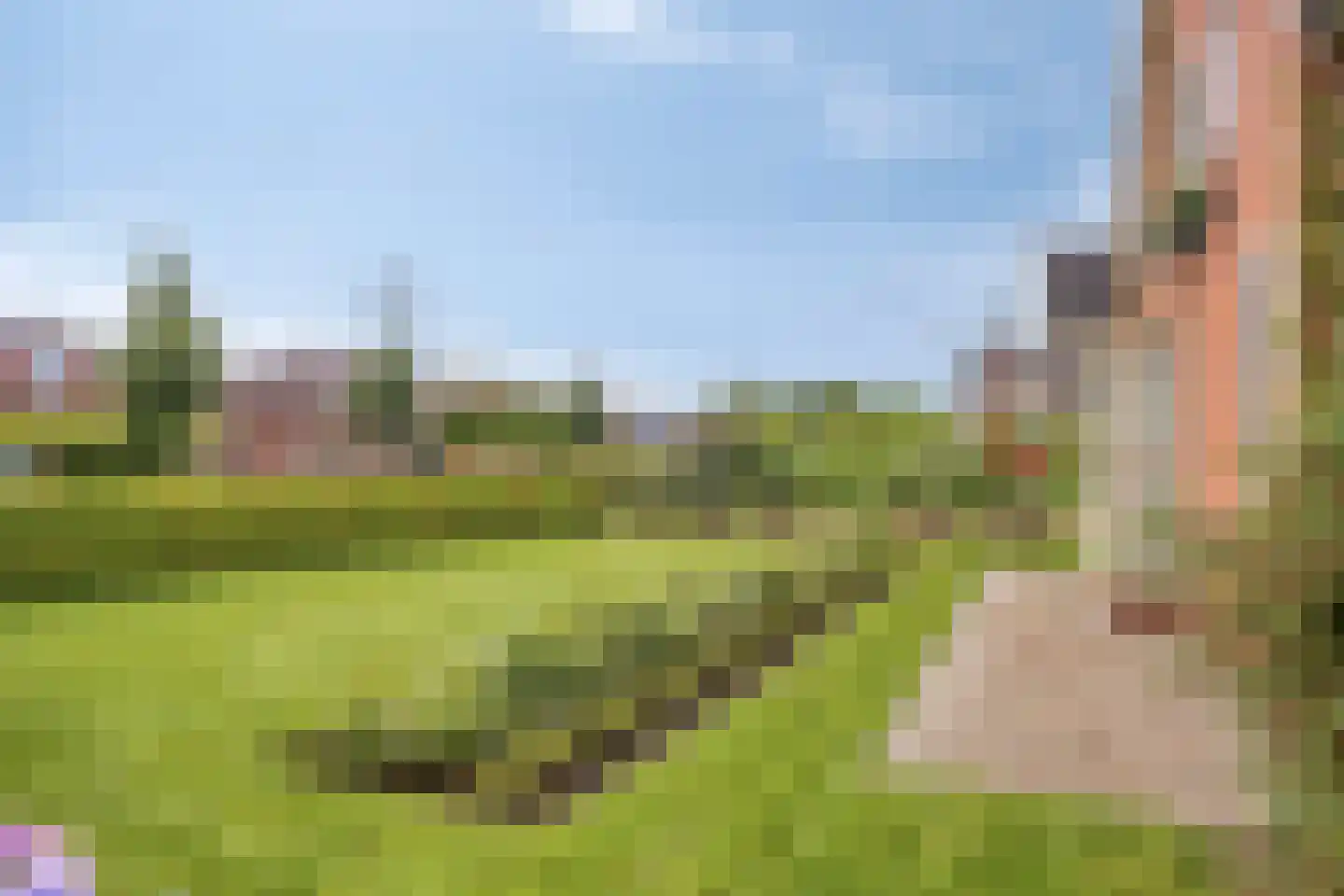 Hoofdstraat 61 't Zandt thumbnail 54