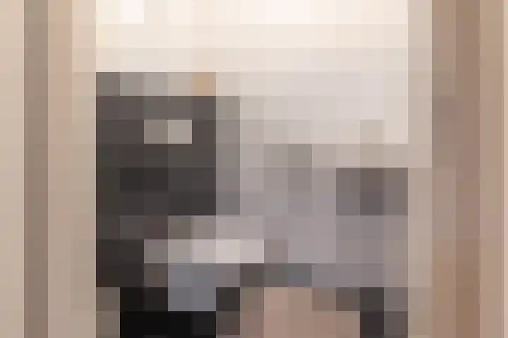 Hoofdstraat 61 Vroomshoop thumbnail 11