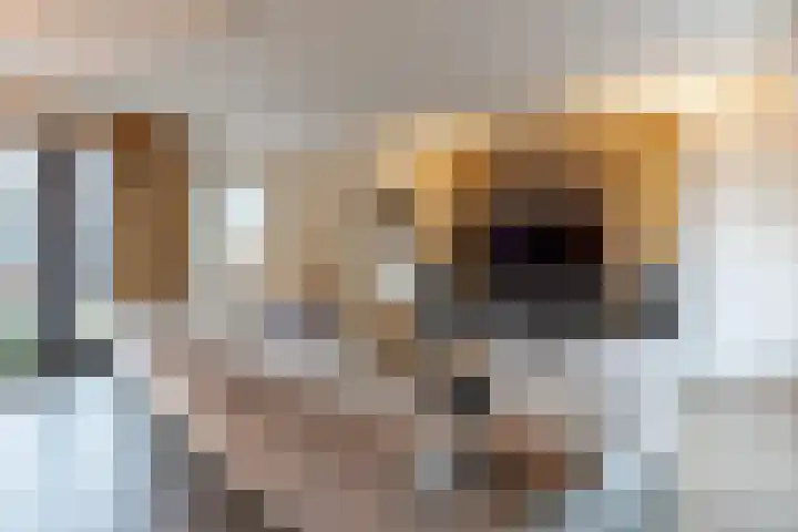 Hoofdstraat 61 Vroomshoop thumbnail 12